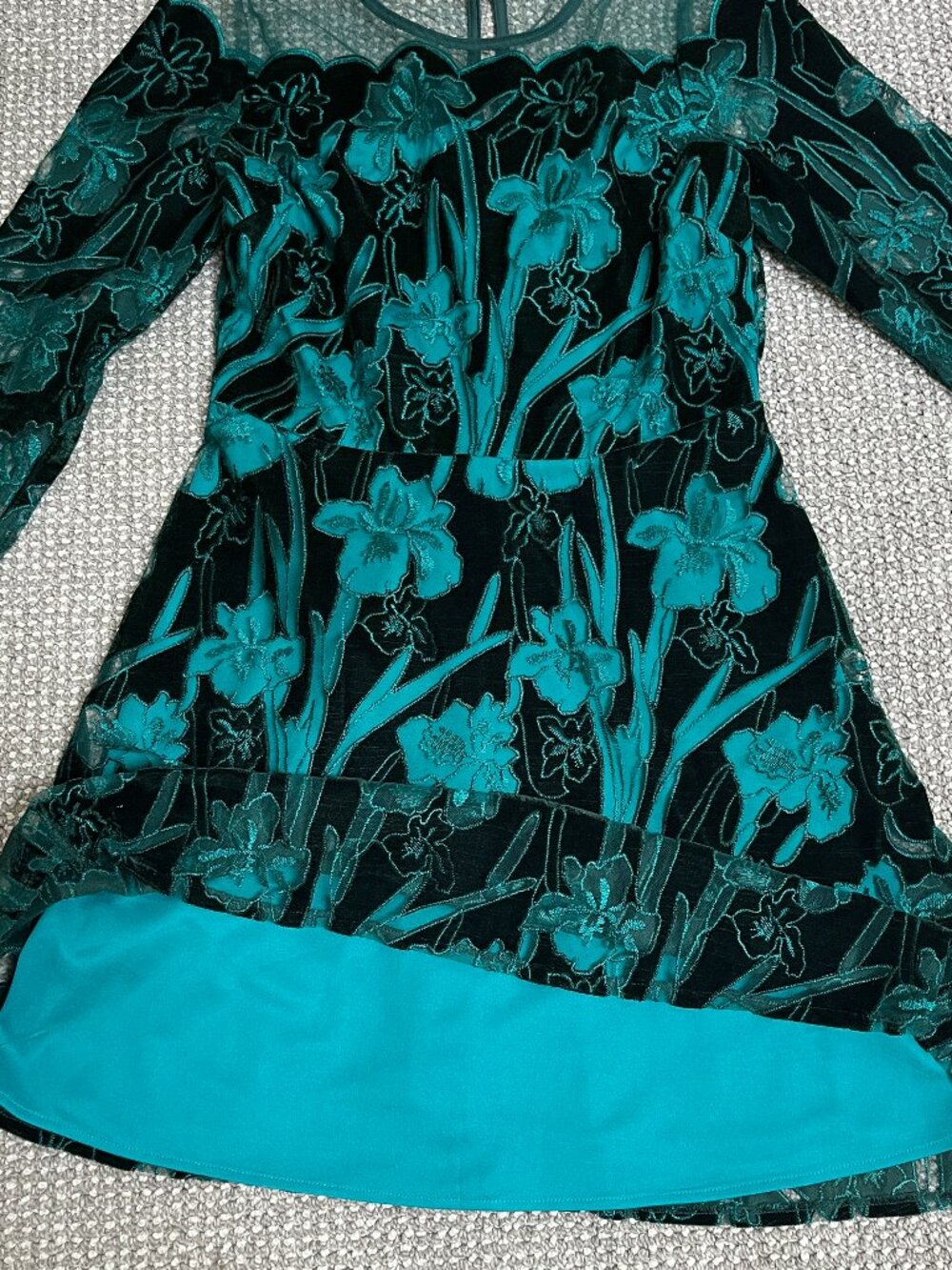 Eva Franco x Anthropologie Juliet Embroidered Velvet Mini Dress, Size 8 - Picture 8 of 9
